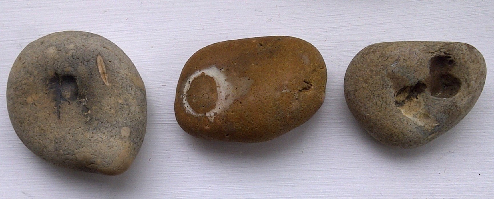 Margaret Howell's pebble collection