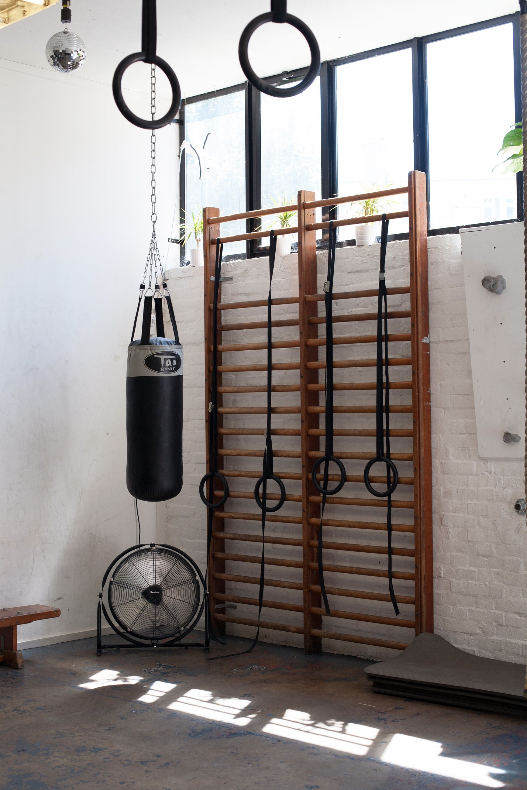 TH_gym_-6039