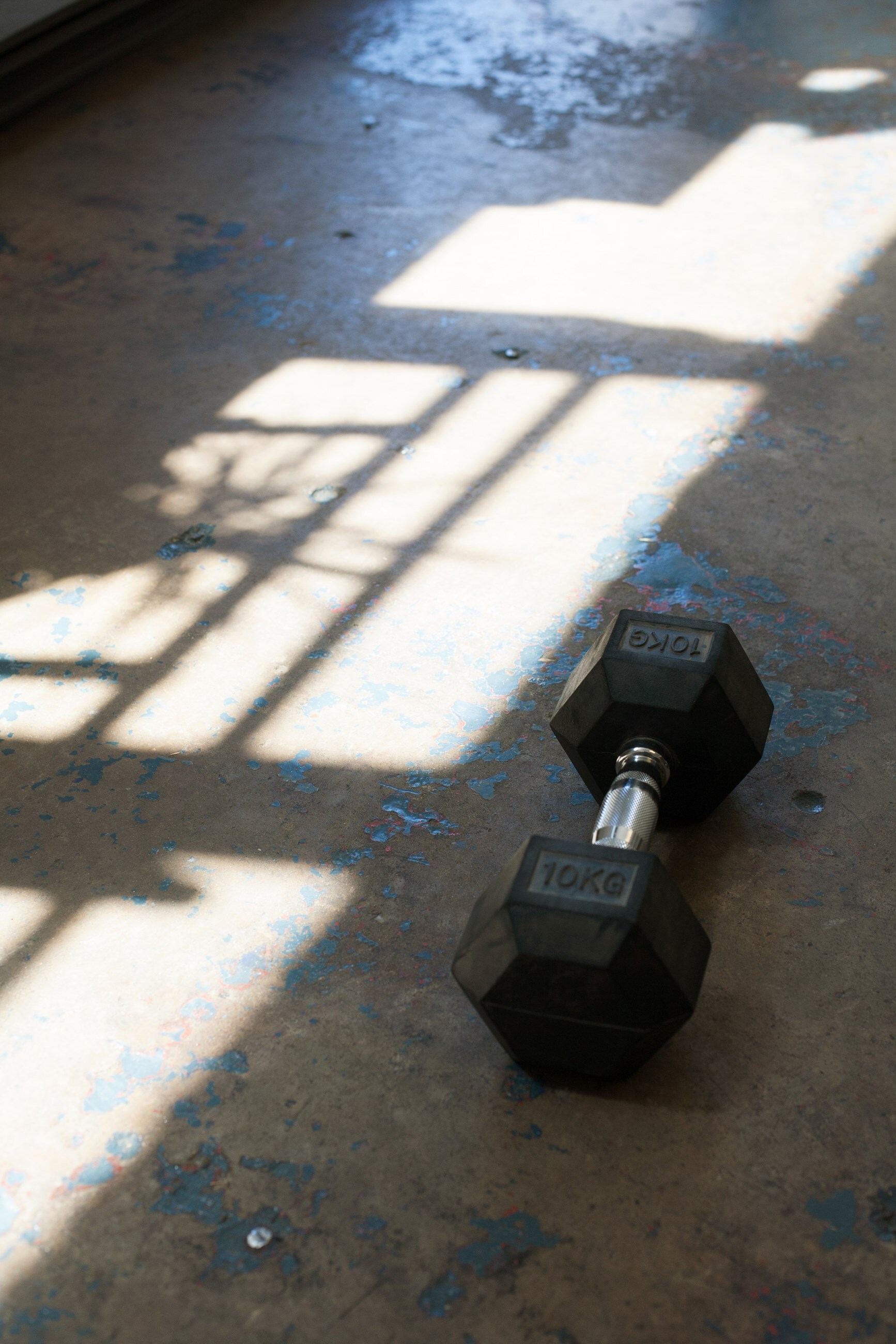 TH_gym_-6070