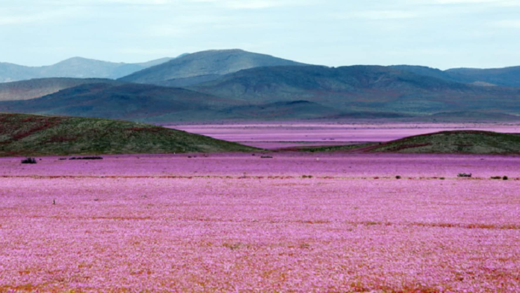 atacama_112