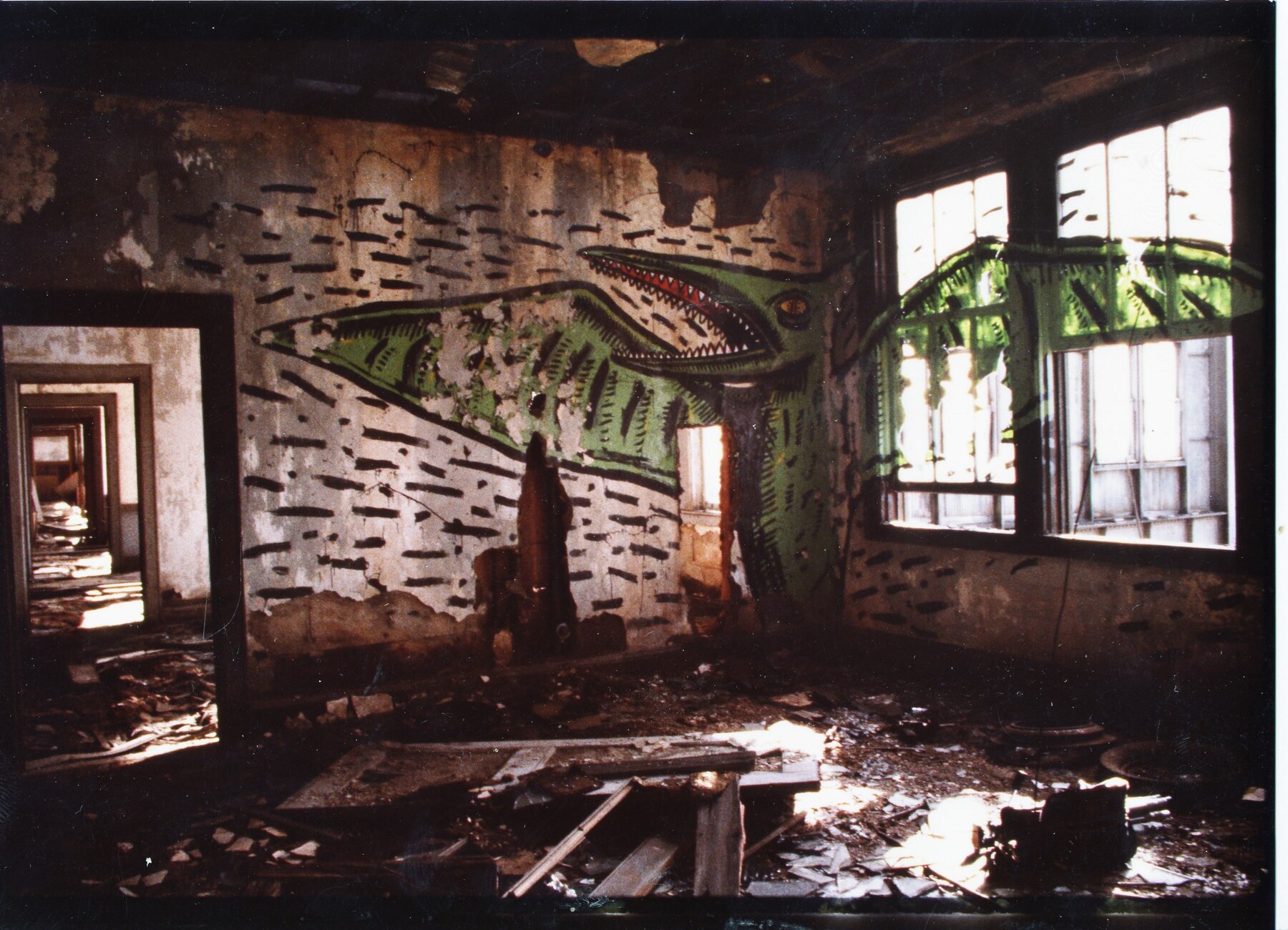 C.1982-83_Pteradactyl_photographer-Unknown
