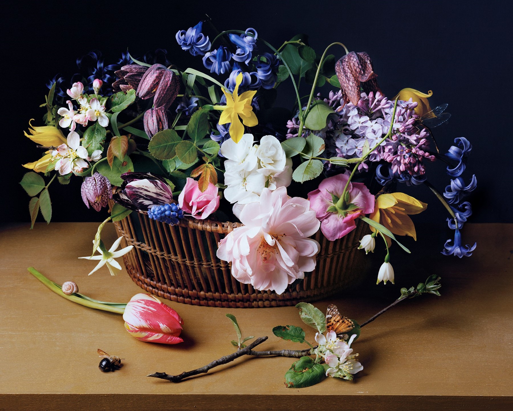 Trompe l'Oeil Photographs Recreating Floral Still Life Paintings | AnOther