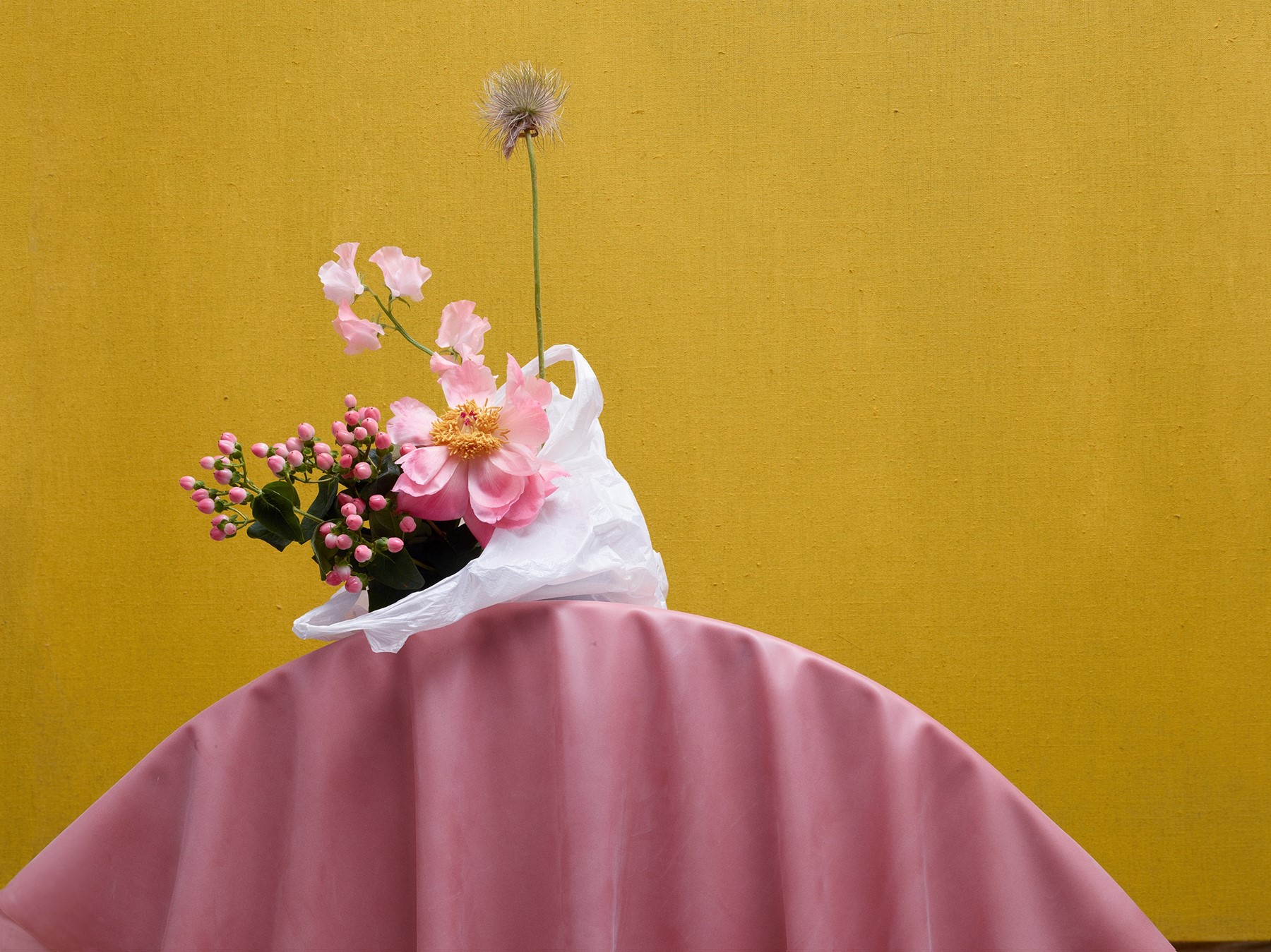 Metz+Racine_Anna_Lomax_01