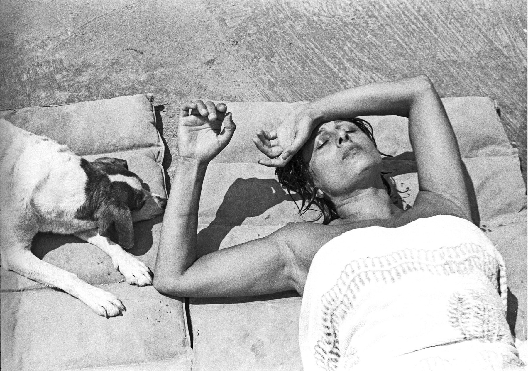 ANNA-MAGNANI_CIRCEO-CON-CANE-LA-SOLE