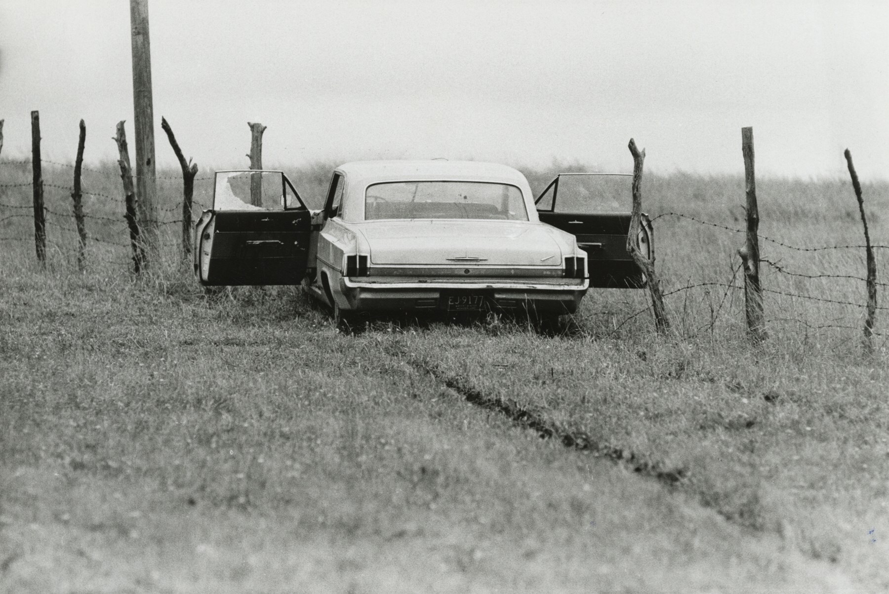 Bruce Davidson interview Subject: Contact