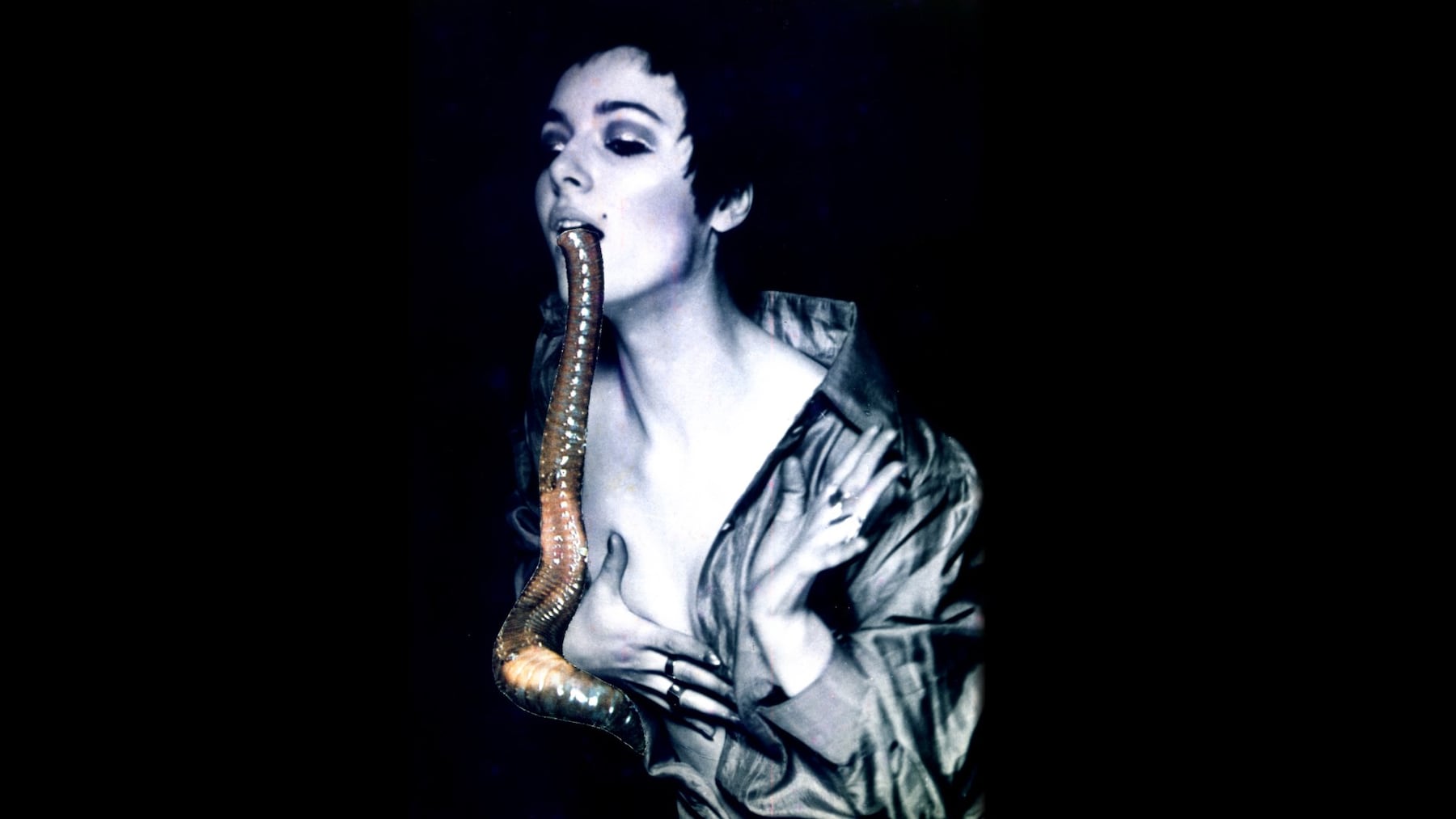  &#39;The Larval Worm&#39;, collage, from &#185;50% The Visible