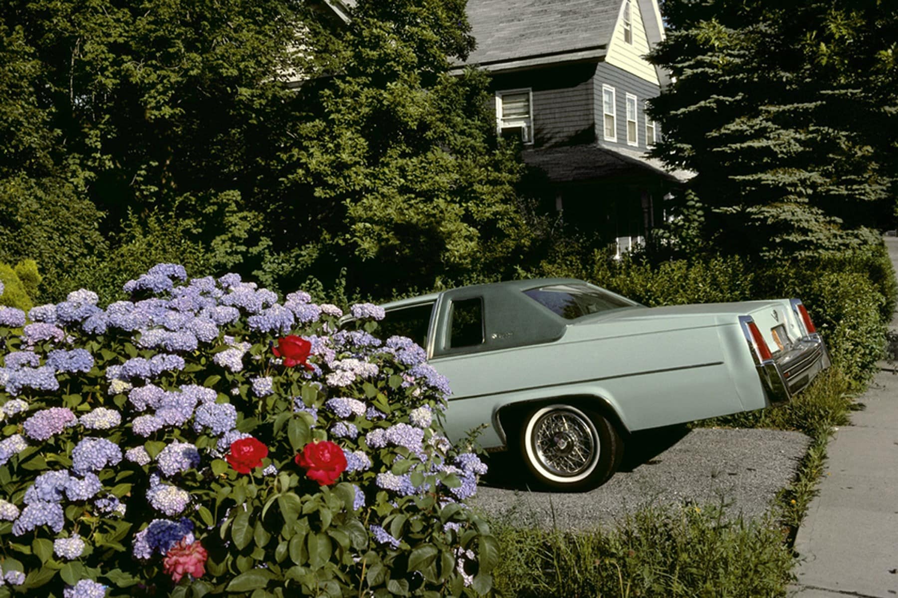 Harry Gruyaert Howard Greenberg Gallery Magnum Photographer