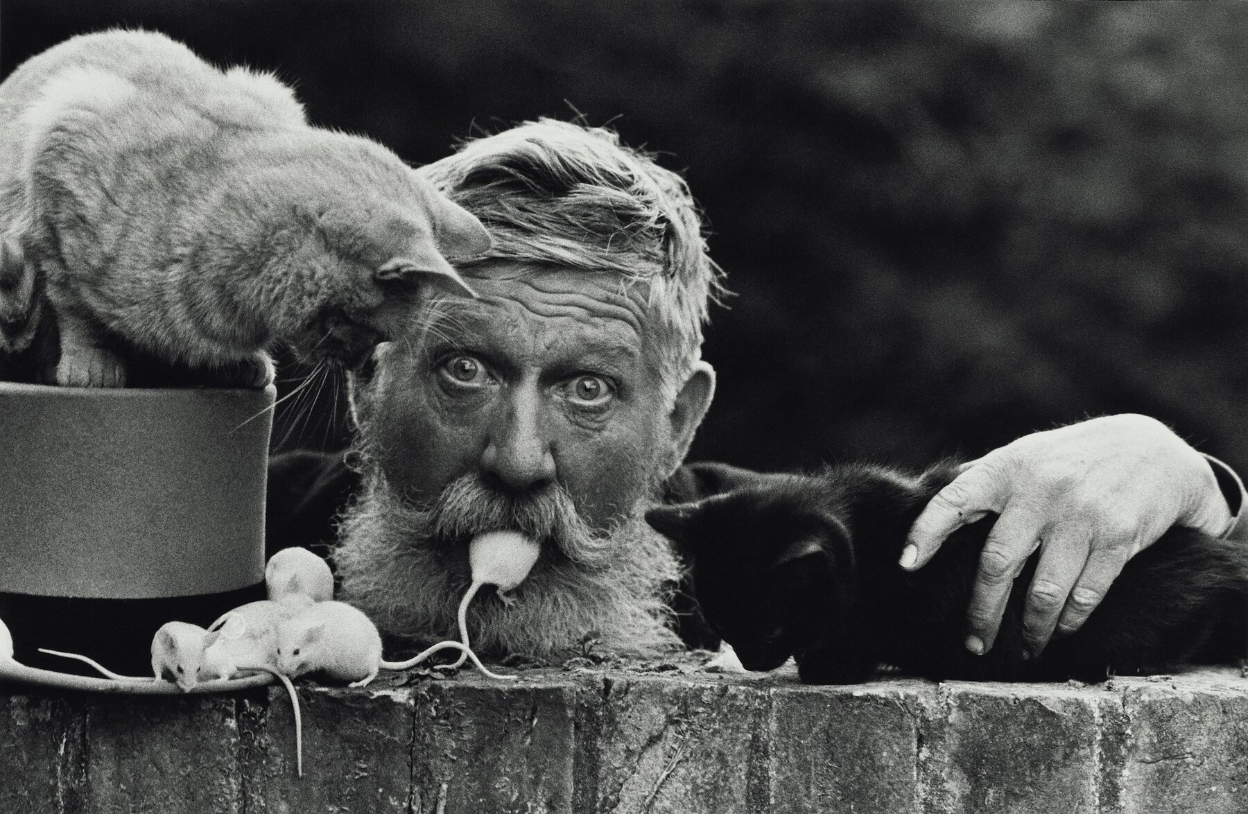 Don McCullin online exhibition Hamiltons Gallery