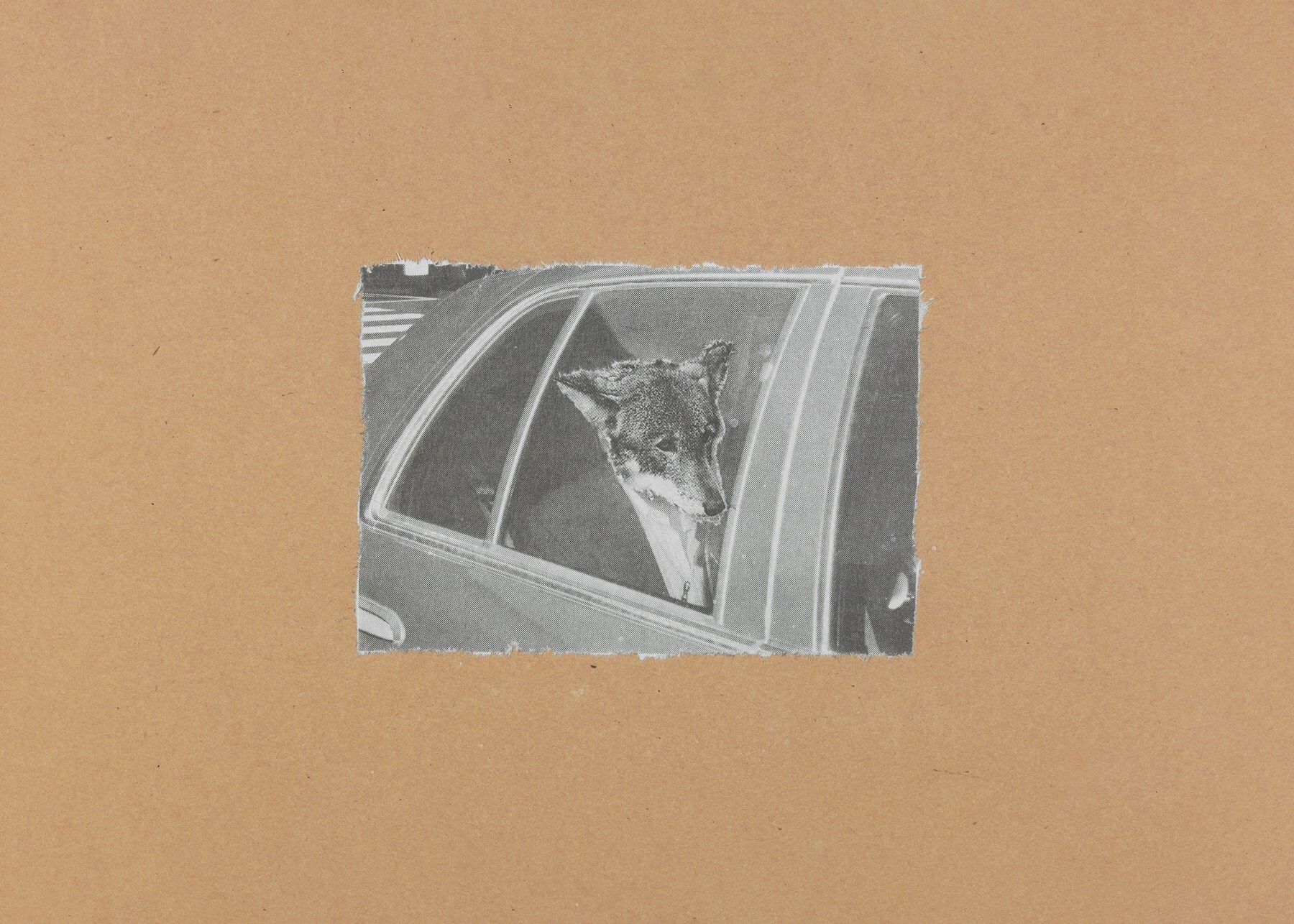 From Some Collages by Jim Jarmusch book
