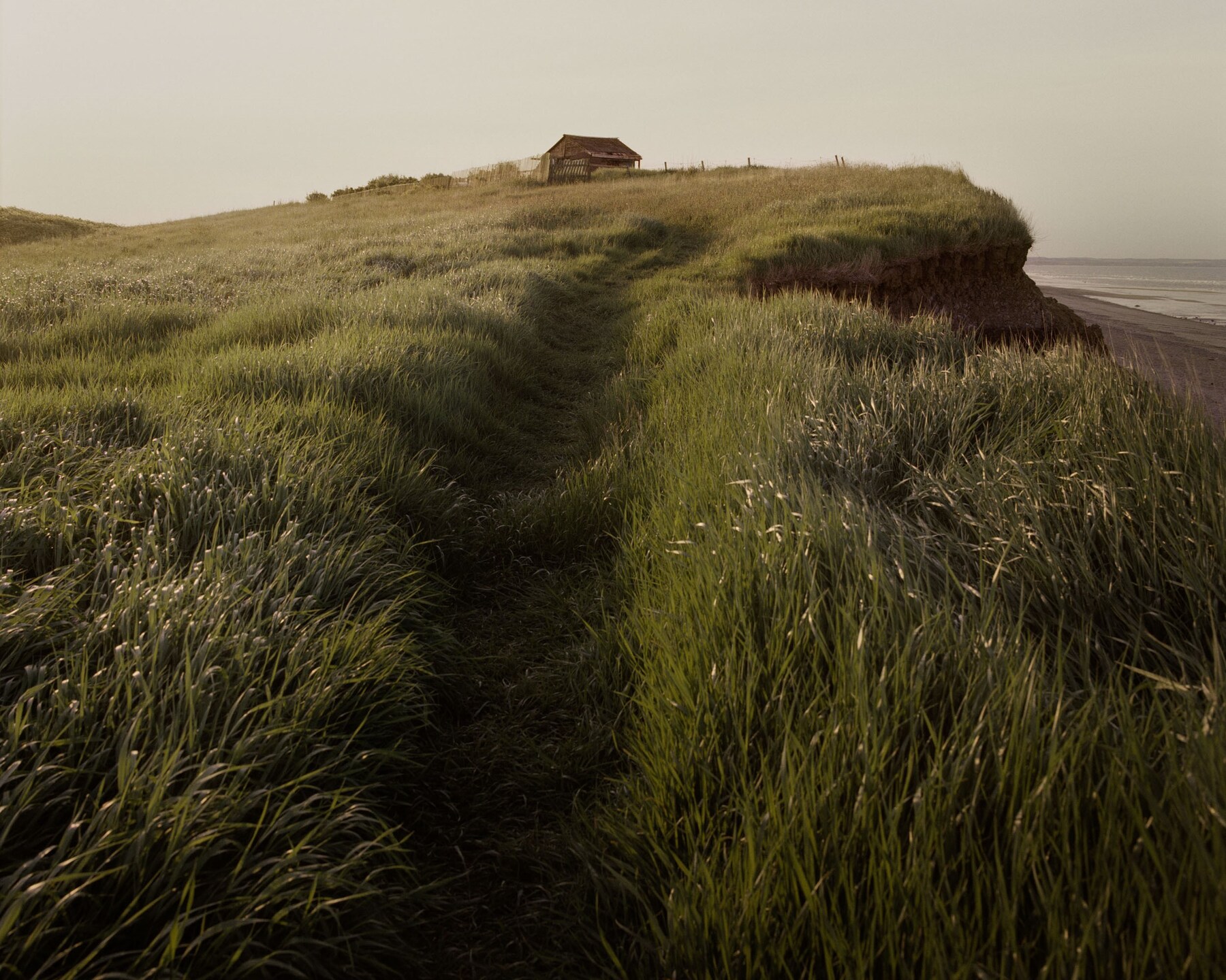 Land Loss by Max Miechowski