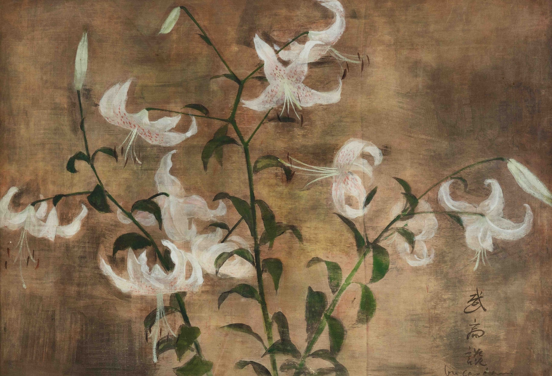 Vu Cao Dam (1908-2000), Liliums