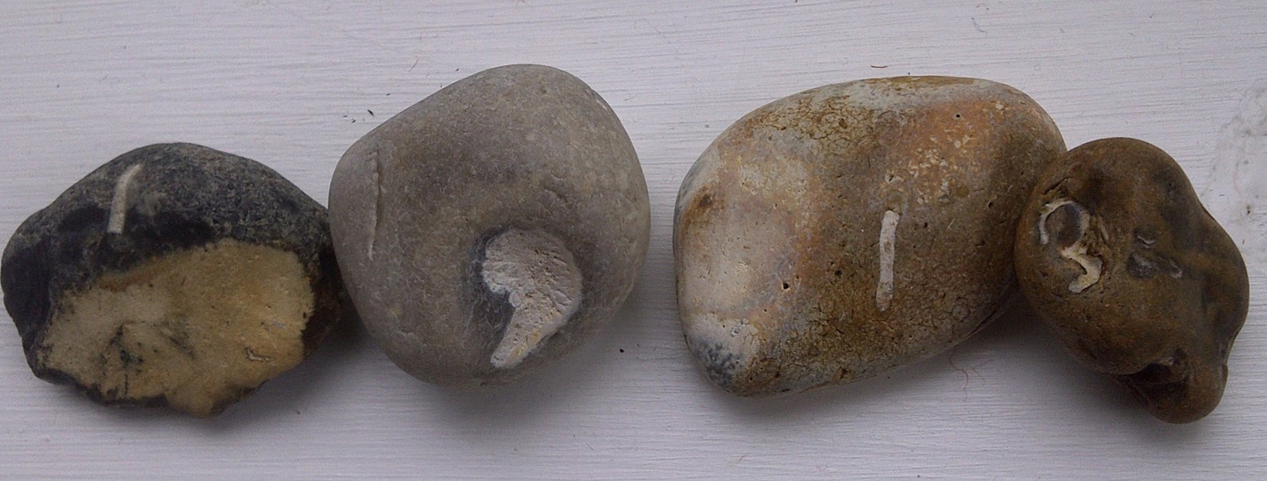 Margaret Howell's pebble collection