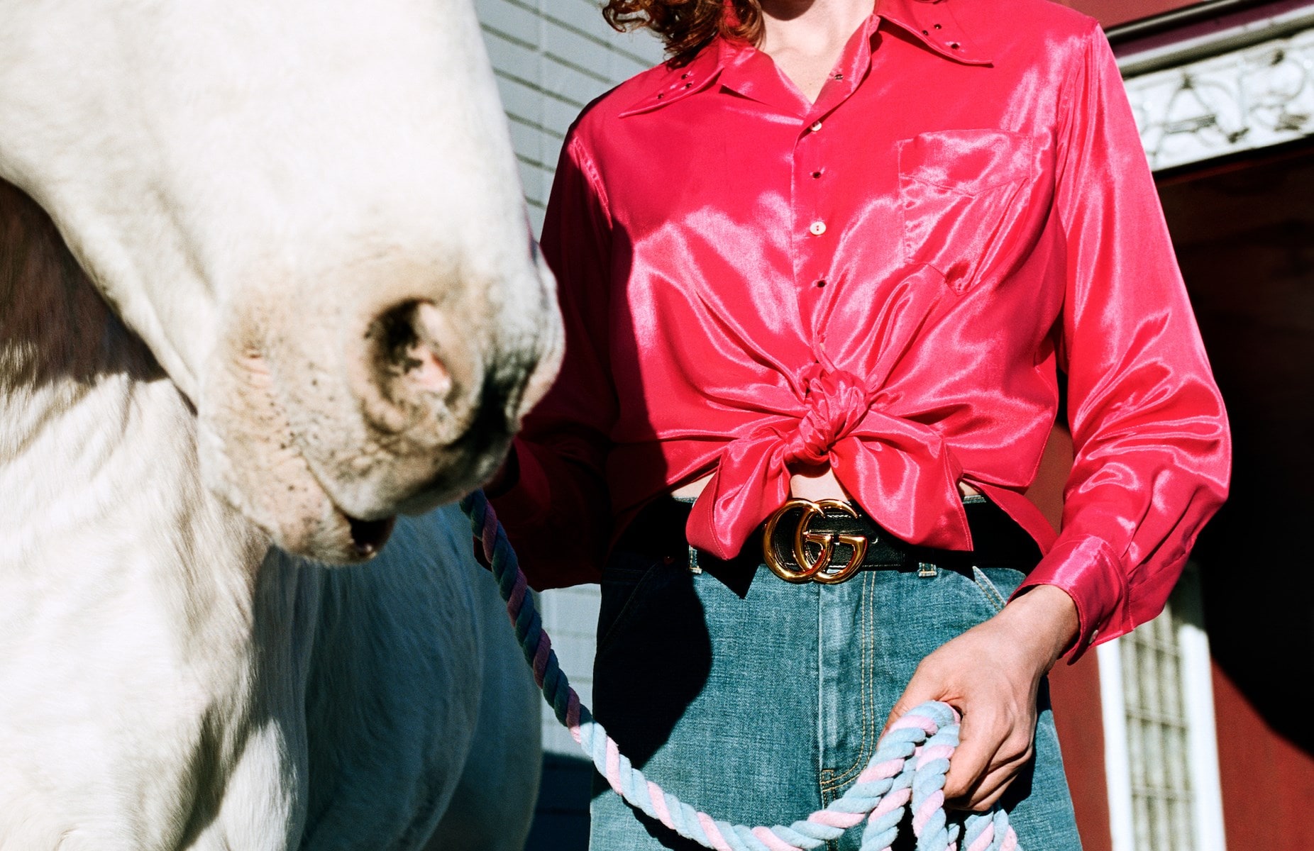 gucci ss20 campaign alessandro michele yorgos lanthimos la
