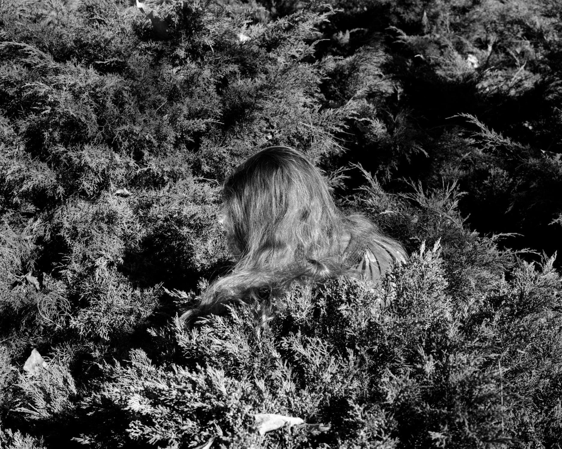 Untitled (Hair)