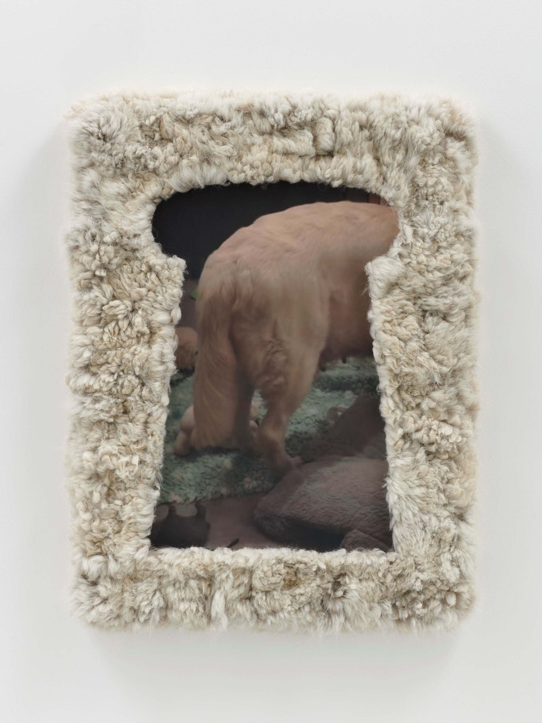 itsanosofadog *It’s an arse of a dog by Amanda Mostr&#246;m