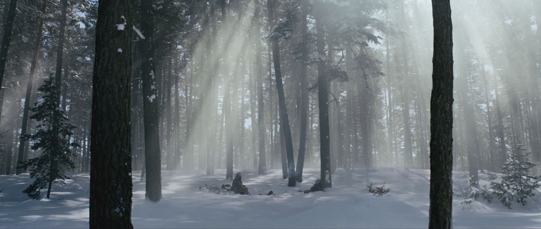 The Long Way Home (2013)