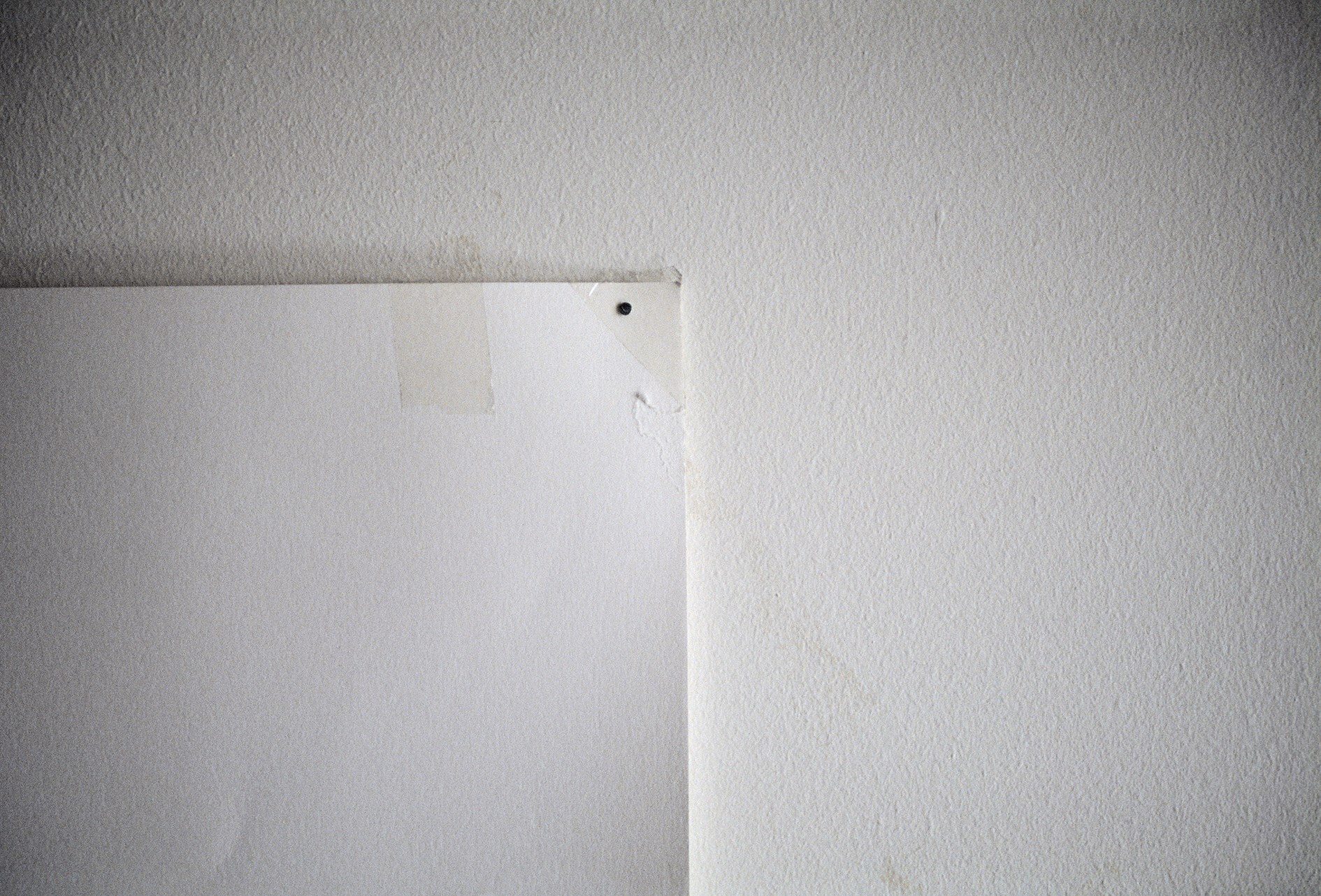 Alia Zapparova, Days, 2019, 1