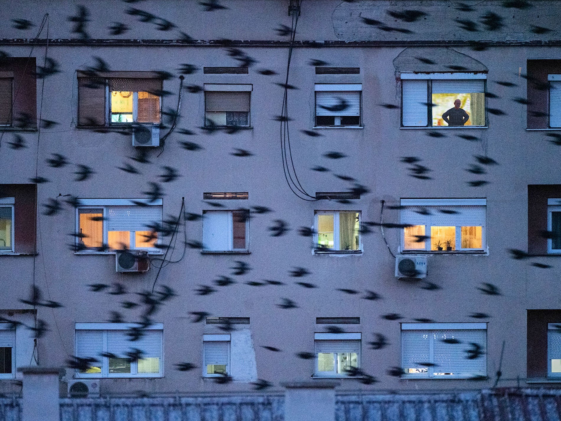 Magnum Square Print Sale: Way for Escape