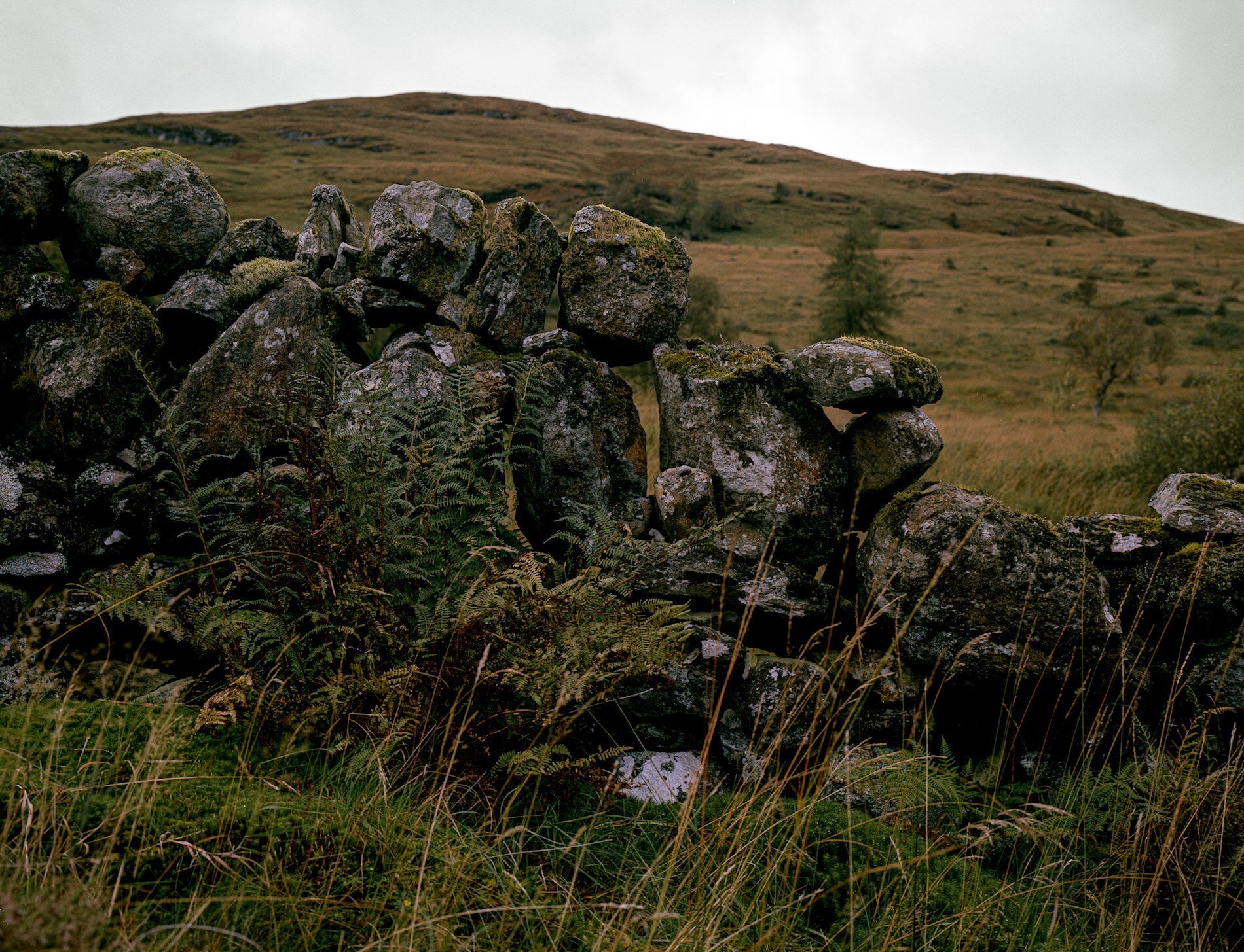 Scotland