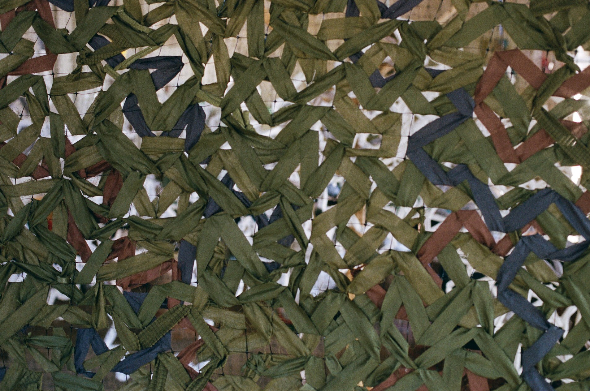 Eugenia Skvarska Shadowing Project