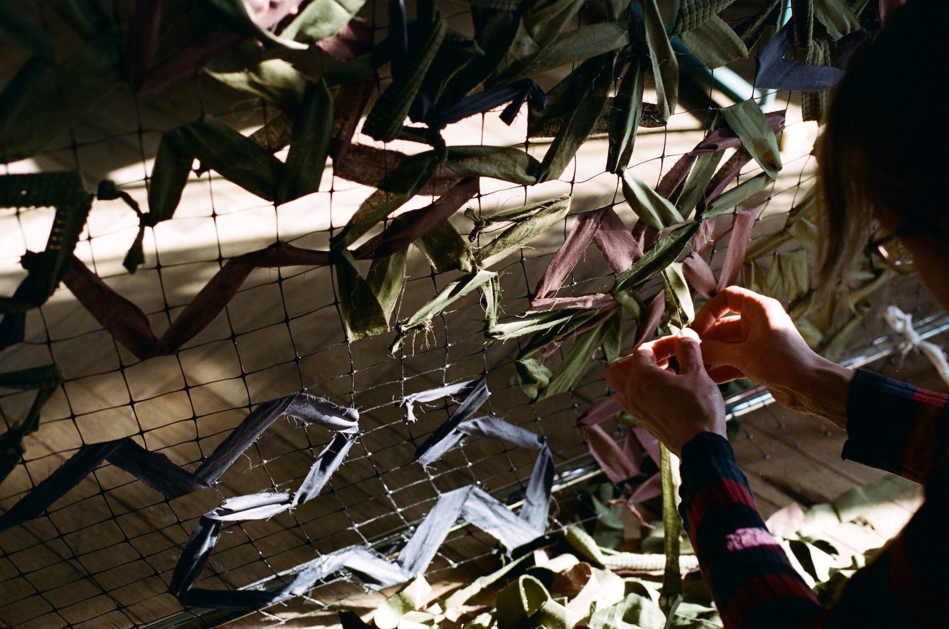Eugenia Skvarska Shadowing Project