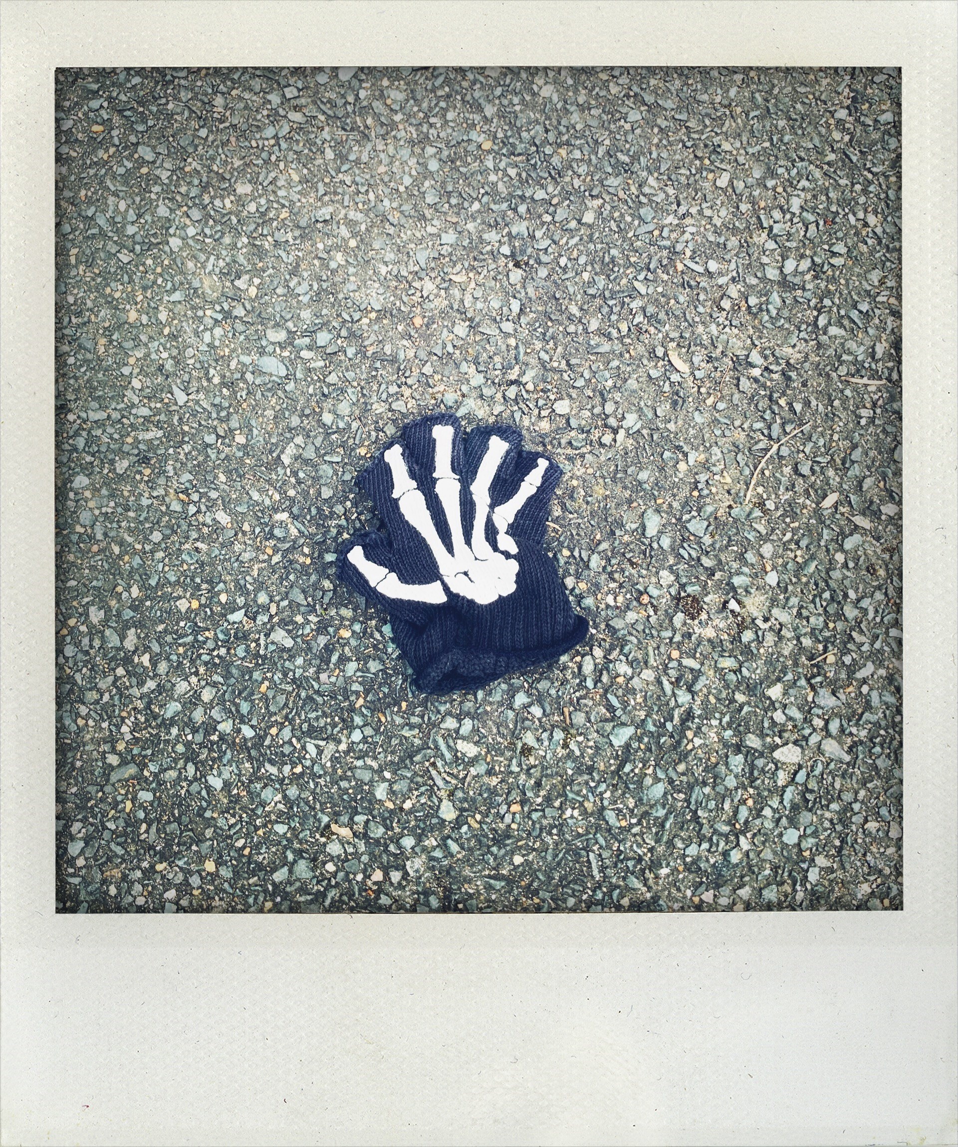 Little Book of Lost Gloves
