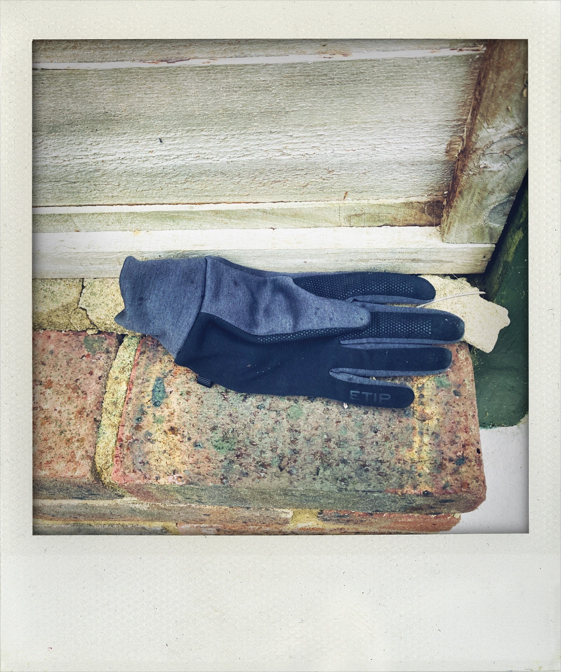 Little Book of Lost Gloves