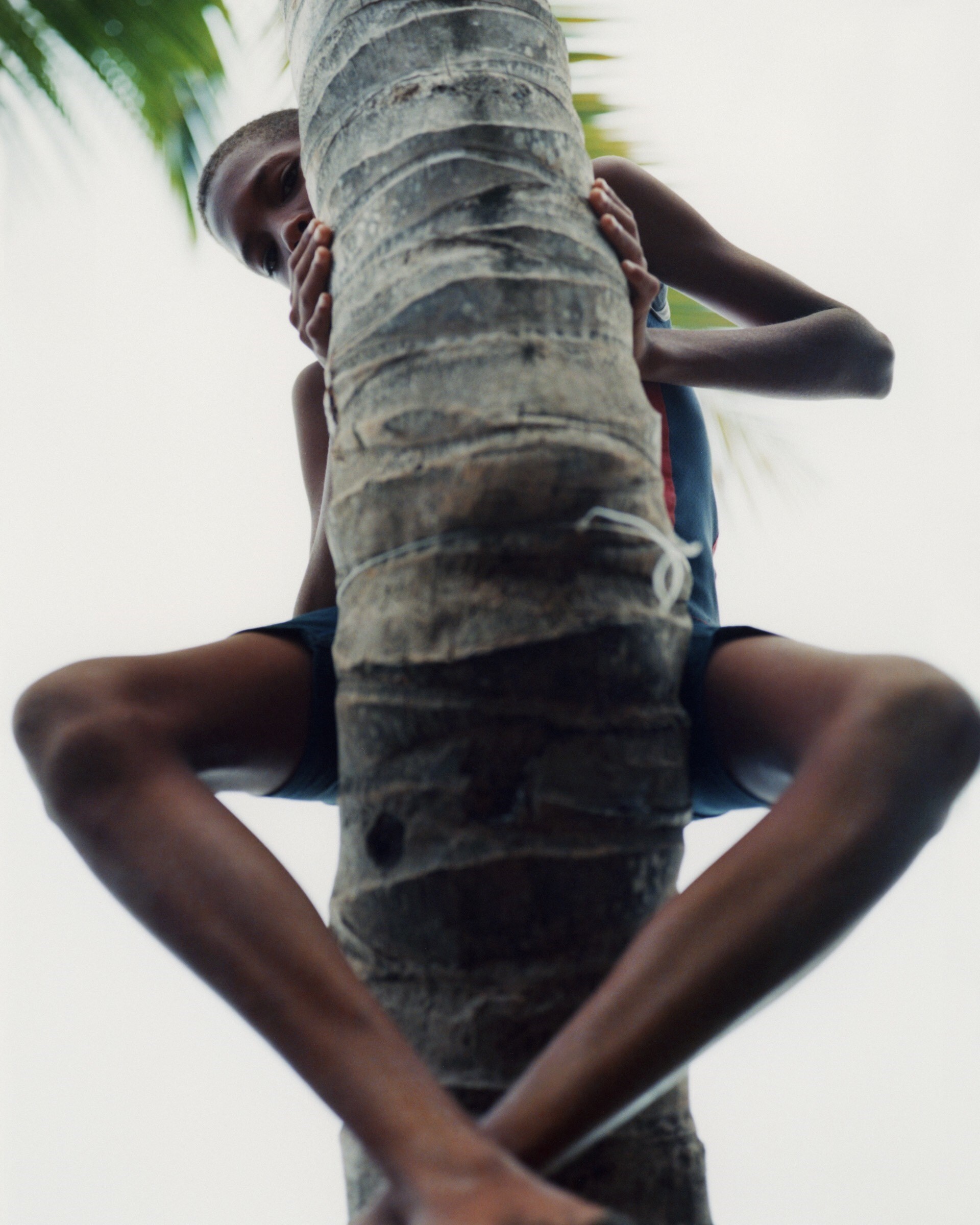 De Cara Al Sol by Diego Vourakis