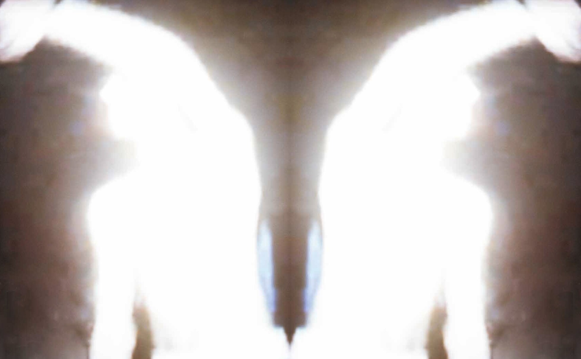 Terpsichoreans II, 2013