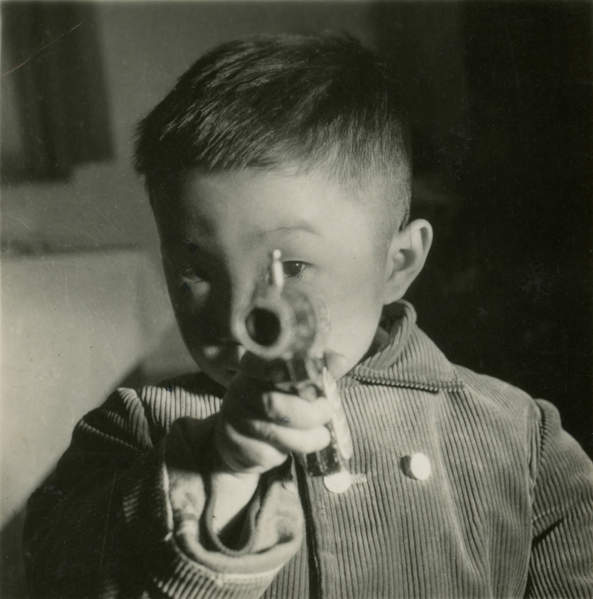 Untitled from History of Life Cai Dongdong book