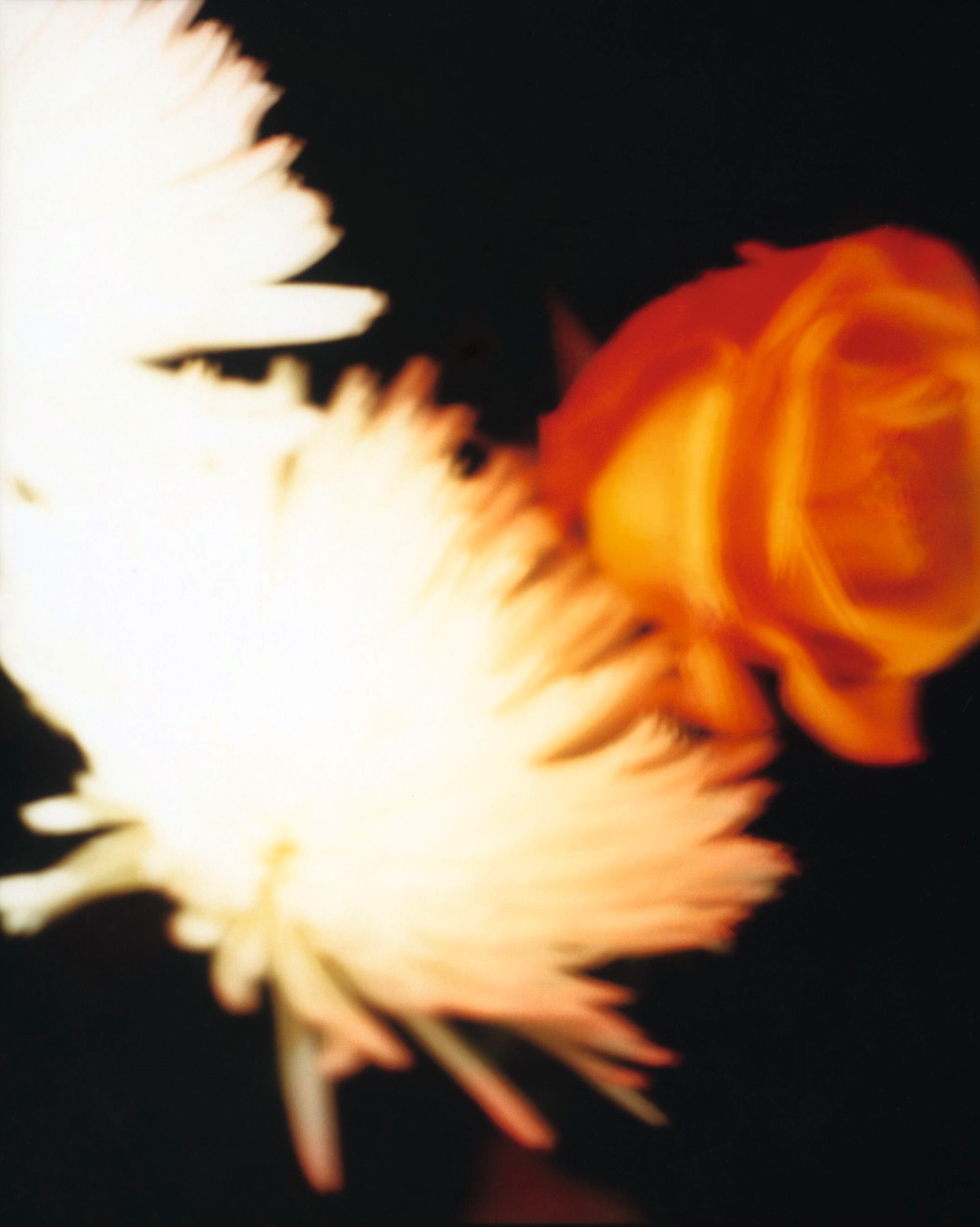 1. AN38_SP1_GarethMcConnell_08_150dpi