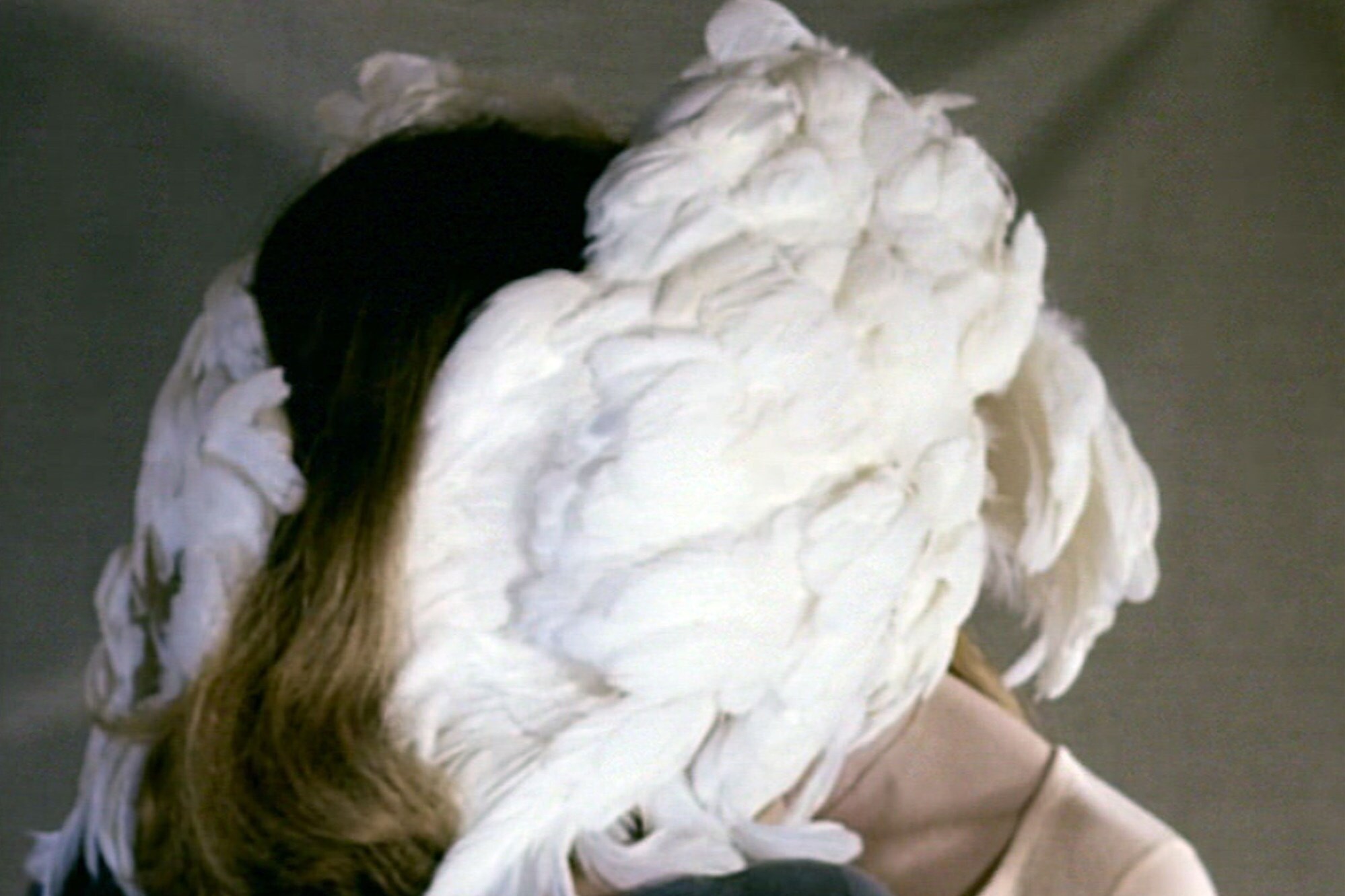 Cockatoo1LG