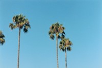 Yucca and Grace Ave, Hollywood, CA, 2000