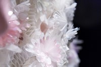 Close-ups: Chanel Spring 2015 Couture