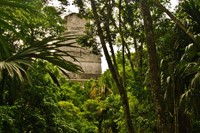 Where On Earth: Tikal Graeme Churchard