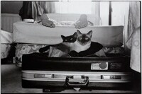 Valentine’s Day Photo Books 2025 Romantic Photos