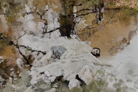 SHOWstudio 25th Anniversary