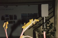 Longchamp Celebrates S/S25 Collection at The Garden Museum