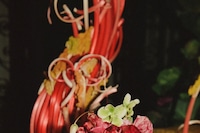 Longchamp Celebrates S/S25 Collection at The Garden Museum