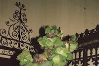 Longchamp Celebrates S/S25 Collection at The Garden Museum