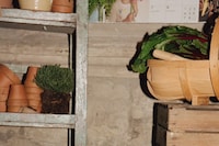 Longchamp Celebrates S/S25 Collection at The Garden Museum