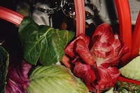 Longchamp Celebrates S/S25 Collection at The Garden Museum