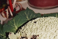 Longchamp Celebrates S/S25 Collection at The Garden Museum