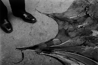 5. Lee Miller, Untitled, Paris 1930. Lee Miller Ar