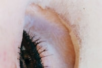 Harley Weir for AnOther Magazine Autumn/Winter 2026 Art Proj