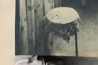 Marie Deteneuille for AnOther Magazine Autumn/Winter 2025