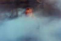 Rianne Van Rompaey for AnOther Magazine Spring/Summer 2025