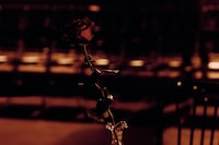 Willy Chavarria Autumn/Winter 2026