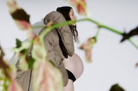 Anna Cleveland for AnOther Magazine A/W25