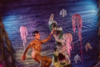 Bidgood_Underwater with Jellyfish_2000 copy